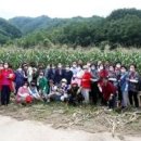 늘푸름목장 이미지