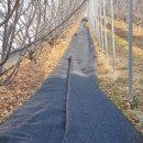 방초농장 이미지