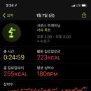 크로스핏 레오 이미지