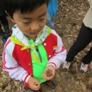 대원유치원 이미지