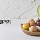 싱싱한마켓 이미지