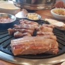 제주돈도리