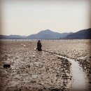 선정은하수꼬막마을 이미지