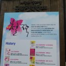 꽃에 향기가 없으면, 군포 철쭉동산에서 이미지