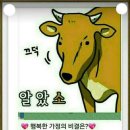 청렴결백
