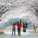 제일원떡방앗간 이미지