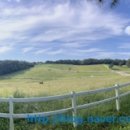 평안목장 이미지