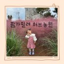팜카밀레 | 태안 부모님 가족여행 6살 2살 아이와 팜카밀레 허브농원 내돈내산 후기
