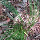 아이큰별어린이집 이미지