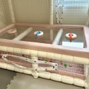 토리아이키즈풀빌라 이미지