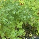 뮤지컬<해피한하루> | 뮤지컬 레드북 관람 후기