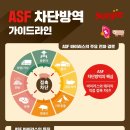 선진모바일 네이버블로그