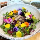 삼한시대 이미지