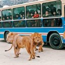 삼성농원 이미지