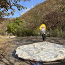 상북수구레국밥 - 울주군 상북로 232 | 가을캠핑기록