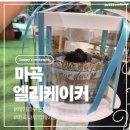 엘리케이커 | [강서] 마곡 케이크 특별한 날 주문제작 맛집 엘리케이커, 흑임자 케이크 후기