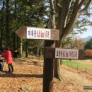 꿈꾸는새재 이미지