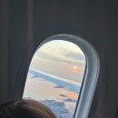 에바 | 대만 항공사 에바 항공 이용후기