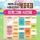 정지제2공원 화장실 | ​[부산 축제] 강서 낙동강 30리 벚꽃축제 다녀왔어요! 대저생태공원 LED 벚꽃 지난해....와 다른