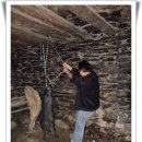 고기의 민족 이미지