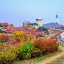 블루클린 이미지