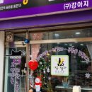 야옹아놀자 이미지