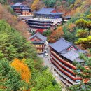 야단법석 이미지