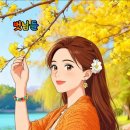벗님들 Daum카페