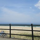새동해바다 | [국내여행] 1-2일차 동해 부채길/동북횟집 물회/무릉별유천지 추천 후기