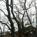 장성백암중학교 이미지