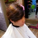 도도헤어(dodo헤어)