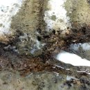 팀베이스 이미지