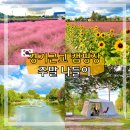 소풍정원 캠핑장 (화장실)3 | 경기도 주말 나들이 소풍정원 캠핑장 추천 핑크뮬리 주차 애견동반