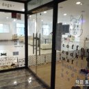 스타펫미팅 이미지