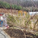 대지농장 이미지