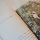 초록초록 가드닝 이미지