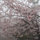 우룡산공원 이미지