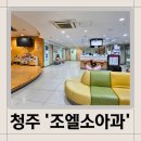 청주대왕약국 | 청주) 연중무휴 야간진료가능 소아과 &#39;조엘 소아과&#39;