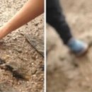 나루펜션민박 이미지