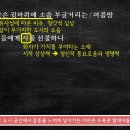 아마존수족관 - 김해시 금관대로 1199 | 아마존수족관