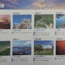 달마고도 Daum카페