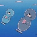 마린 스포츠센터 | 2개월 수린이의 수영일기, 노원 수영장 마린스포츠센터 2탄(강사 후기, 분위기, 준비물)