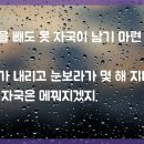 시나위 = farewell to love (잘가요 내 사랑) 이미지