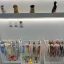 견공수라상 이미지