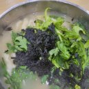 신탄약국 | [대전 맛집!] 손칼국수 전문!! 망골고개식당
