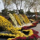 백제문화단지-부소산성-궁남지-정림사지-백제문화단지 이미지