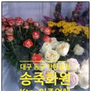 송죽화원