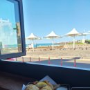 카페피시후 이미지