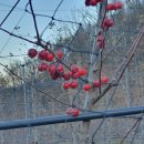 하늘정원 화장실 이미지