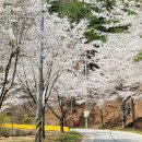 춘양면사무소 이미지